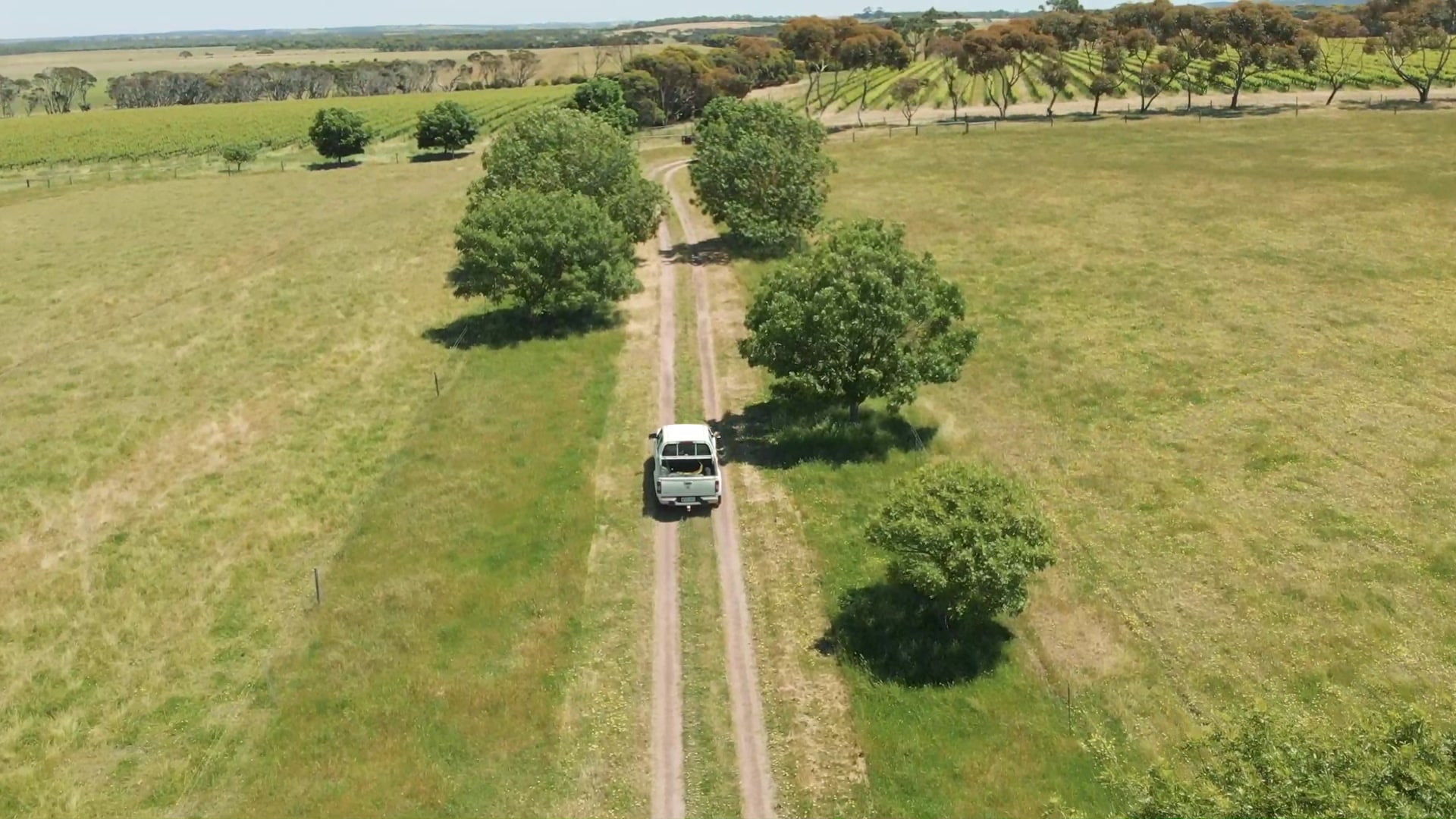 Make Your Way Back To Kangaroo Island Springs Road Wines